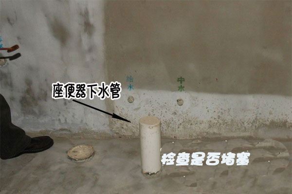 1529717684792215.jpg 21179289.jpg